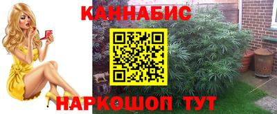 мяу мяу мука Будённовск