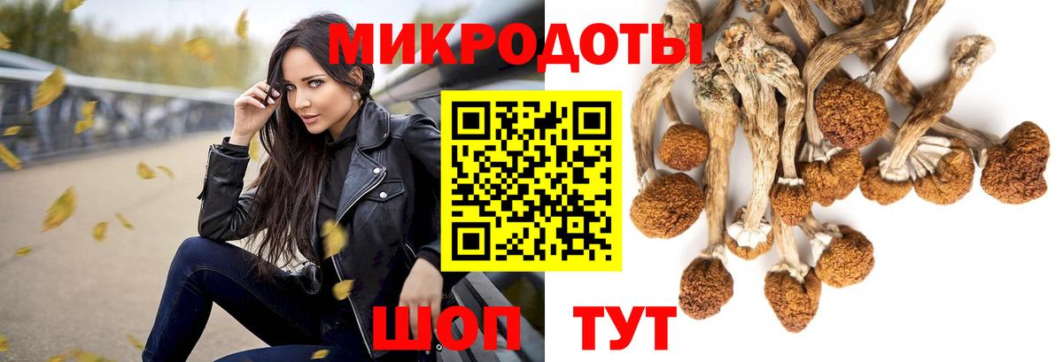 Галлюциногенные грибы MAGIC MUSHROOMS  Вход с VPN  Ростов-на-Дону  Галлюциногенные грибы мицелий 